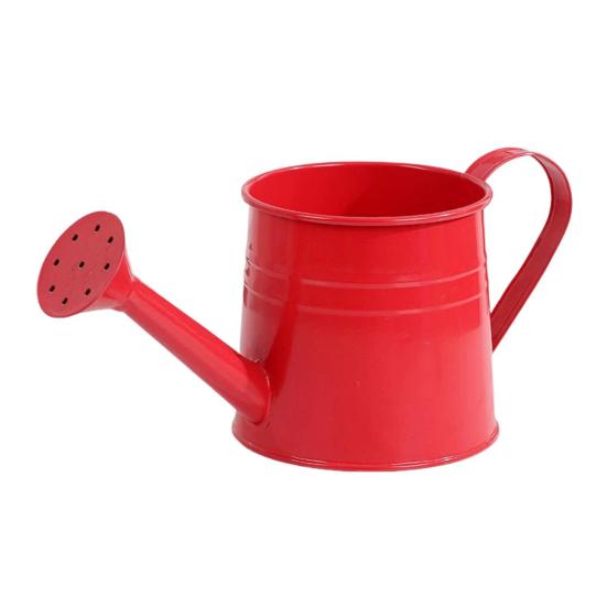 

Металлическая лейка для комнатных растений, лейка с широким горлышком, деревенская ваза для цветочной композиции с ручкой для балкона, офиса, гостиной