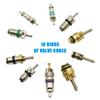 102pcs R134a Car A/C Air Conditioning Valve Cores Tool Kit Fit For 1/4" 5/16" Service Ports To Remove And Install The Valve Core