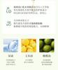 Botanical Avocado Hand Cream Moisturizing and Easy To Absorb 50ml