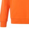 Sweatshirts Men's Orange Crew Neck Moderate Regular 676666-23