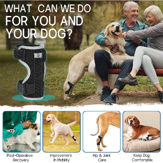Supet Dog Leg Brace for Back Leg - Hock & Ankle Joint Support for Rear Legs with 2 Metal Springs, Anti-Slip Design & Reflective Trim for Sprain,