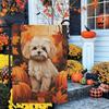 2D Flat, 2D Flat,1pc Durable Polyester Maltipoo Fall Pumpkin Garden Flag, 30.48x45.72cm, Double-Sided, Weather-Resistant Outdoor Yard Decor, Durable M