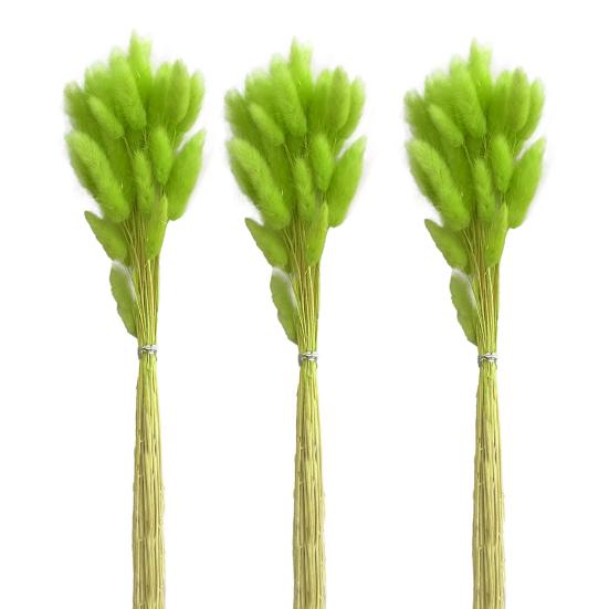 1 set Buchet de flori uscate Produse de uz casnic Coada de iepuraș