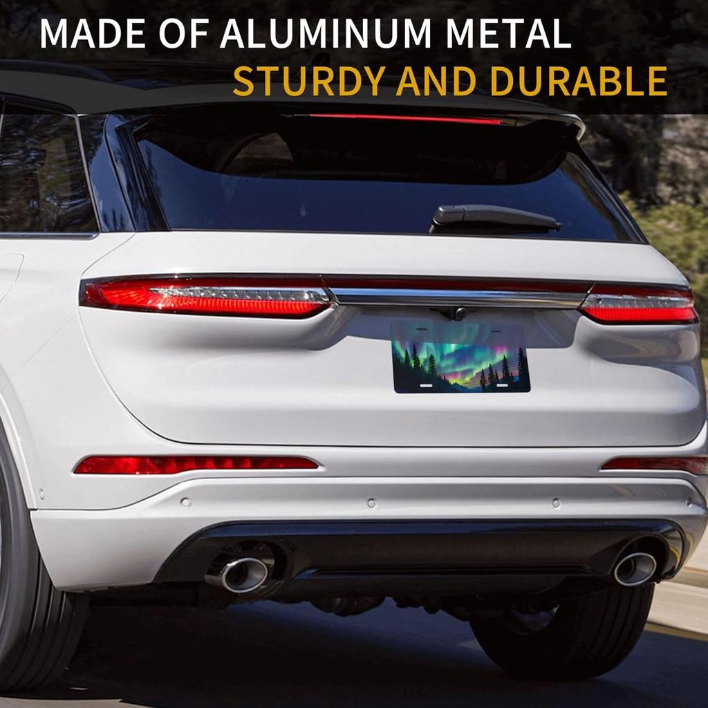 Aurora Borealis Front License Plate For Women Car Vanity Plates Decorative Aluminum Metal Cute Novelty License Plate Cover For Men 6X12 Inch (4