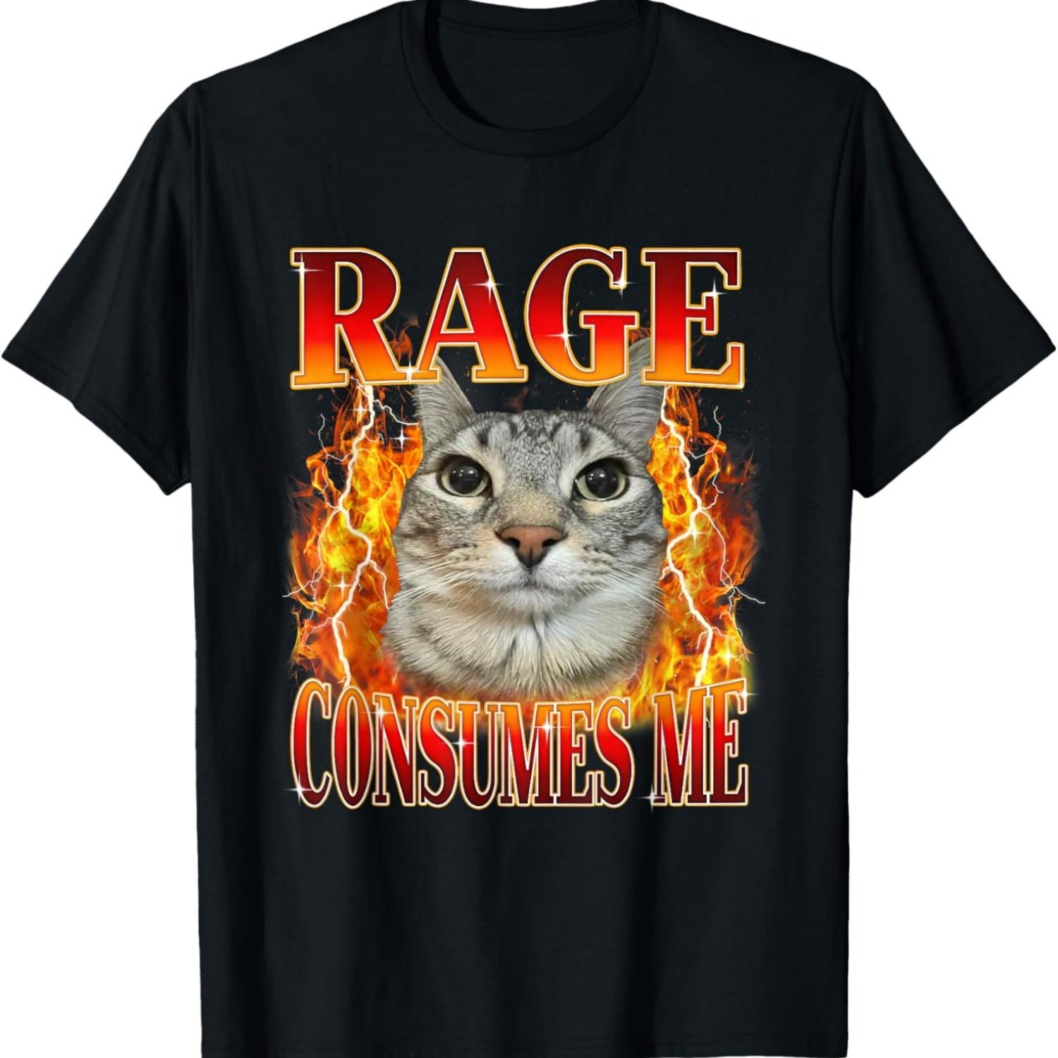 Funny Cat Meme Rage Consumes Me Sarcastic Kitten Cat Humor T-Shirt S чёрный