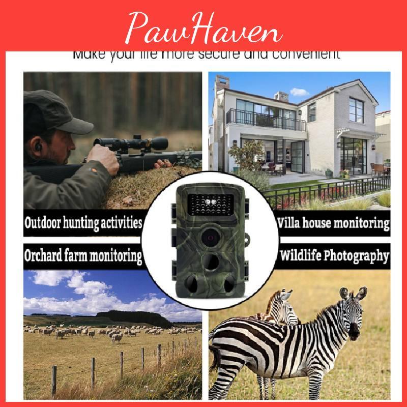 Camera Taking Trail 36mp 1080p Night Photo Video Hunting Animal Monitoring Tool