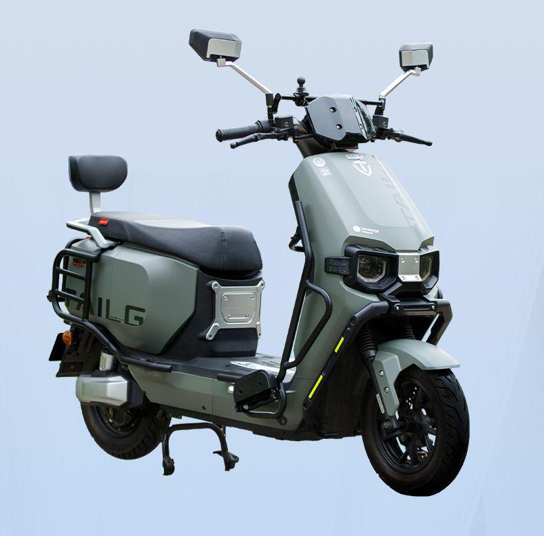 TaiLing NengS CangQiong Premium Electric Self-driving Motorcycle Protective Bar - Double Layer Baked Paint, Thickened Anti-fall Design