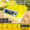 100W Automatic Eggs Incubator Brooder Bird Quail Chick Hatchery Incubator Poultry Hatcher Turner Farm Incubation Tools AC110V/220V  50/60HZEU/US