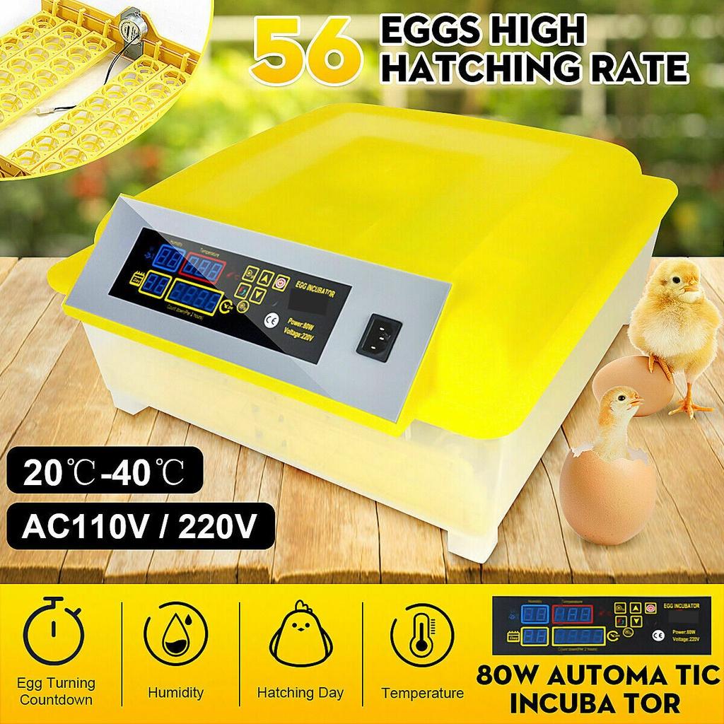 100W Automatic Eggs Incubator Brooder Bird Quail Chick Hatchery Incubator Poultry Hatcher Turner Farm Incubation Tools AC110V/220V  50/60HZEU/US