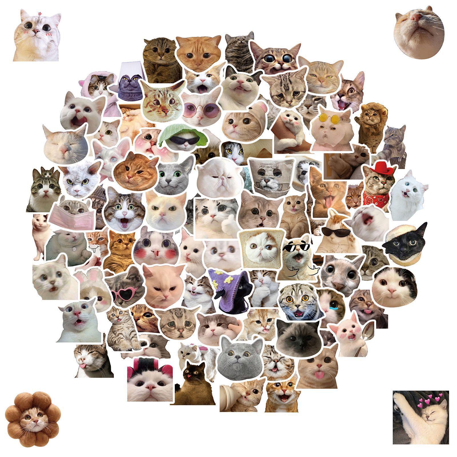 

50 Cat Decals Internet Celebrity Cat Emoticon Pack Graffiti Decals Cute Funny Cat Head Decals Premium Durable Quality