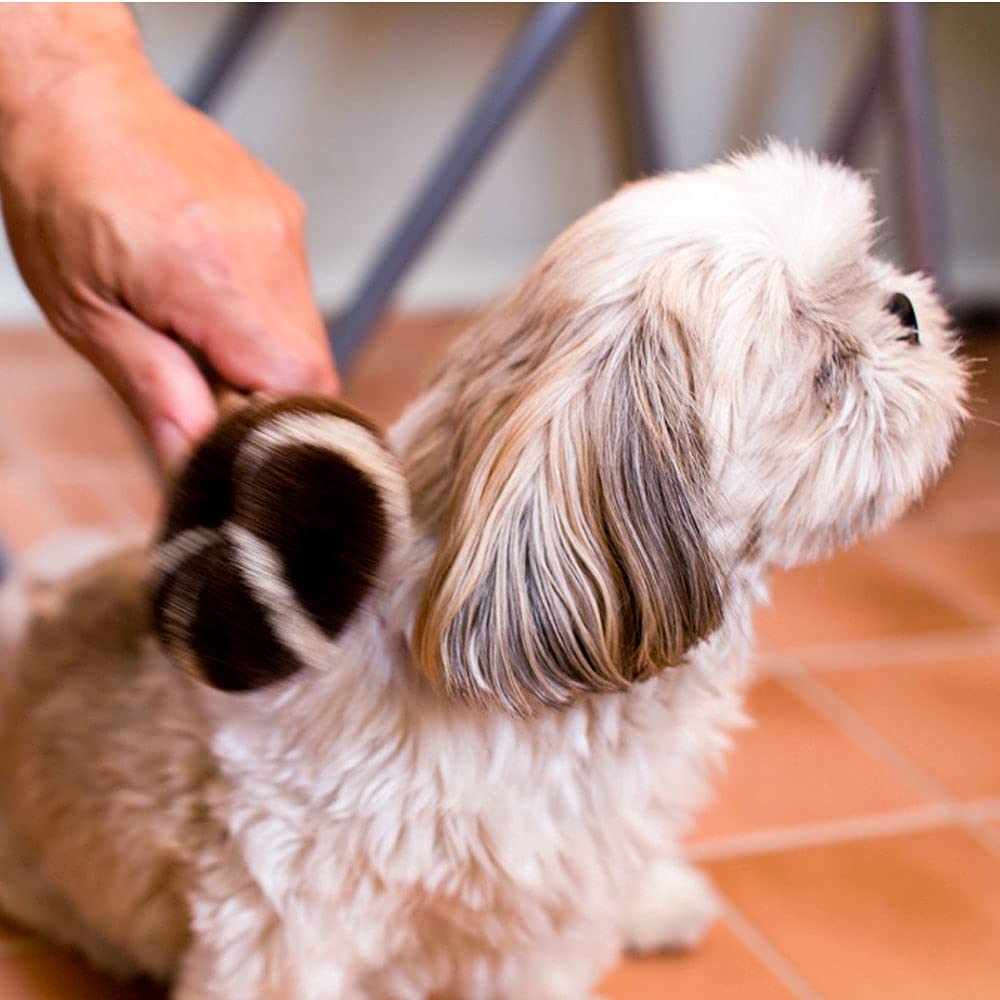 Masatsugu Palm Pet Brush for Dogs [Kitayama Shoten] Scrubber, Scrubber, (Type A)