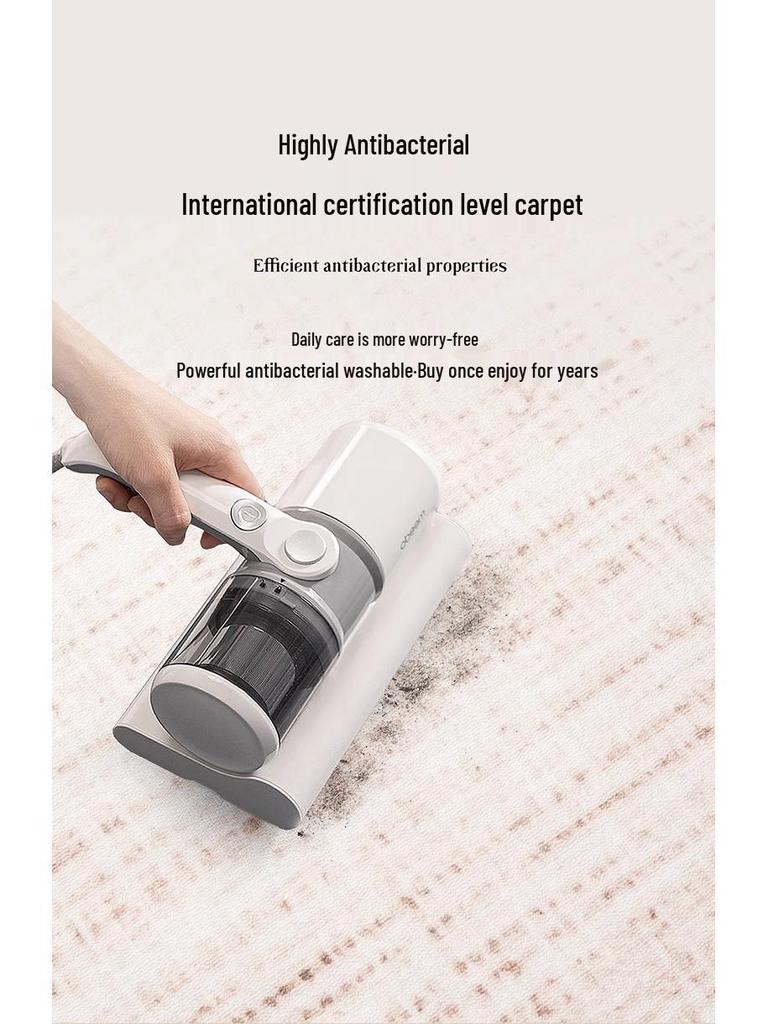 French Stain-Resistant Living Room Carpet: Large, Non-Slip, Water-Absorbent, Easy-Care Sofa Mat