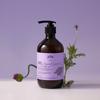 Plu Therapy Body Wash 500g 2 Pcs  Bergamot Lavender 