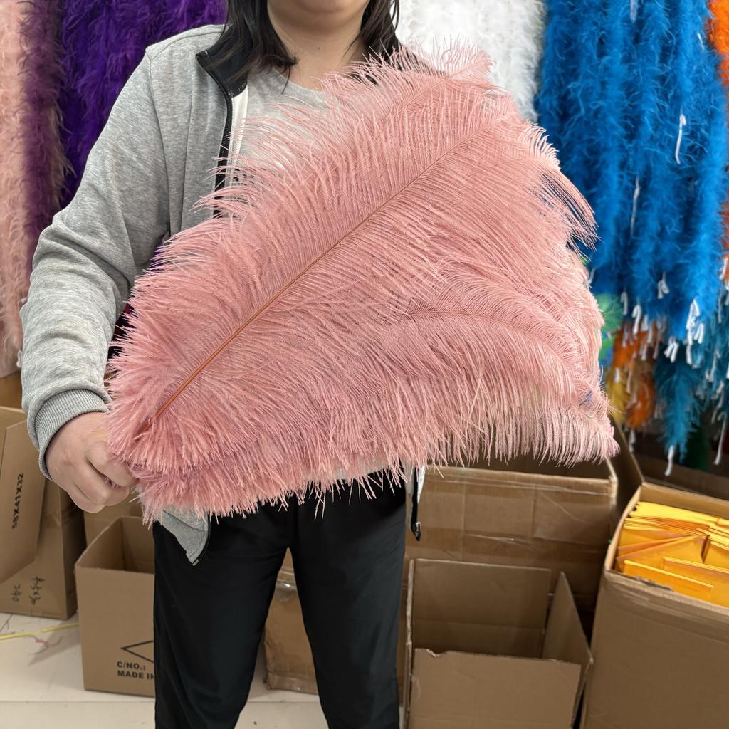 10Pcslot Natural Long Ostrich Feather Bulk 40-65CM16-26inch for Wedding Party Dining Table Center Vase Decor Home Lamp Feather