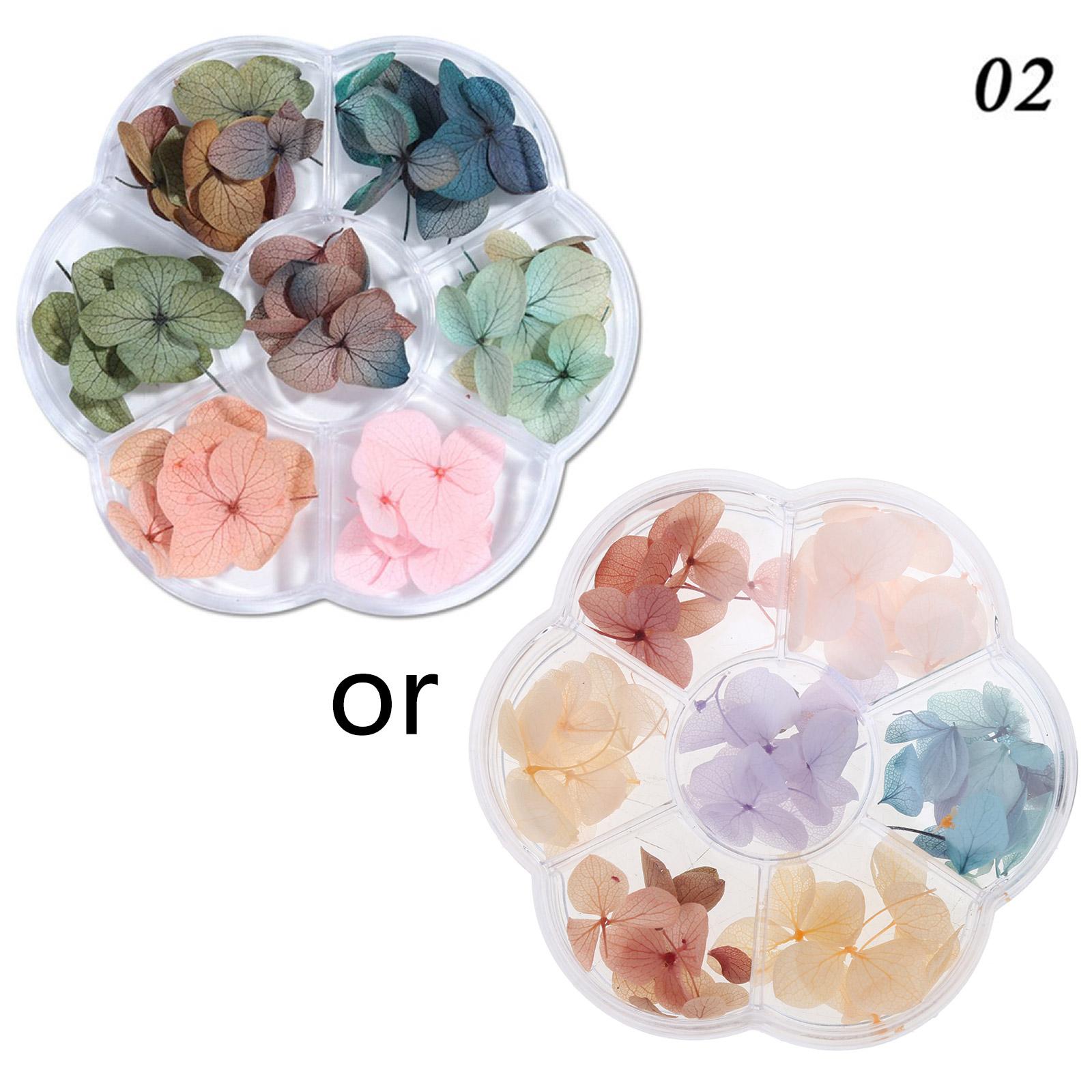 Real Dried Pressed Flowers for Resin Dried Pressed Flowers Natural Dry Flower 1