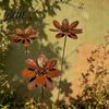 Metal Flower Lawn Stakes Rustic Ground Stake Vintage Garden Art Weather-Resistant Rusted Outdoor Patio Decorations Iron Yard Decor for Pathway
