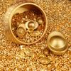 100PCS Gold Mini Gold Dollars Luck Charms Attract Wealth Chinese Feng Shui Ornaments Photo Props Handicrafts