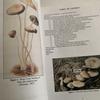 [USED] MAGIC MUSHROOMS Around the World