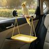 Păsări – Cuști pentru păsări și accesorii