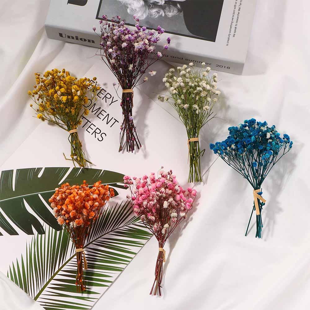 DIY Small Natural Photo Backdrop Pressed Gypsophila Babysbreath Bouquet Dry Flower Dried Flowers