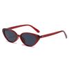  Retro Small Cat Eye Sunglasses Shades UV400 Women Fashion Jelly Tea Sun Glasses