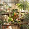Wear Resistant Parrot Swing Toy Wooden Interactive Bird Toy Parrot Play Rack  Beak Sharpening