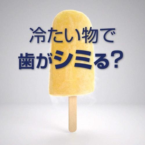 Medicated Shumitect Periodontal Care Toothpaste with High Concentration Fluoride (1450 ppm) for Sensitive Teeth, 22g x 6 Count