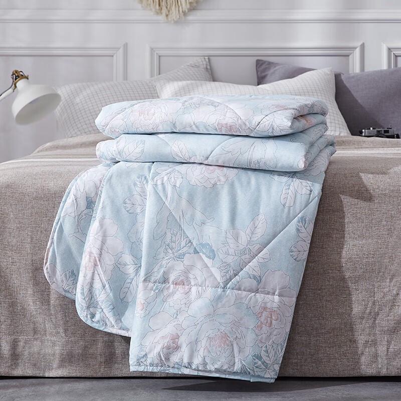 

Boya Daiya Printed Summer Comforter
