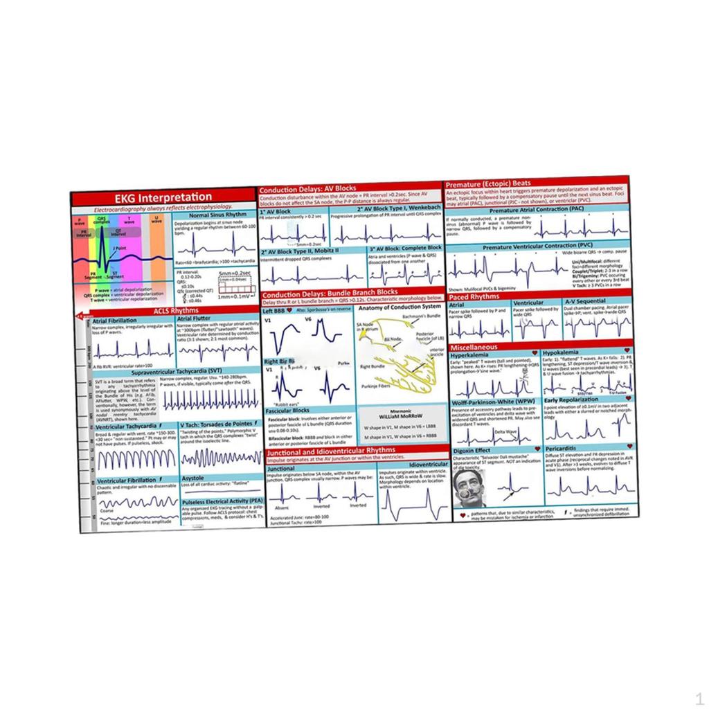 Ekg Pocket Guide Rhythm Interpretation Learning Display Portable Student Training Essentials
