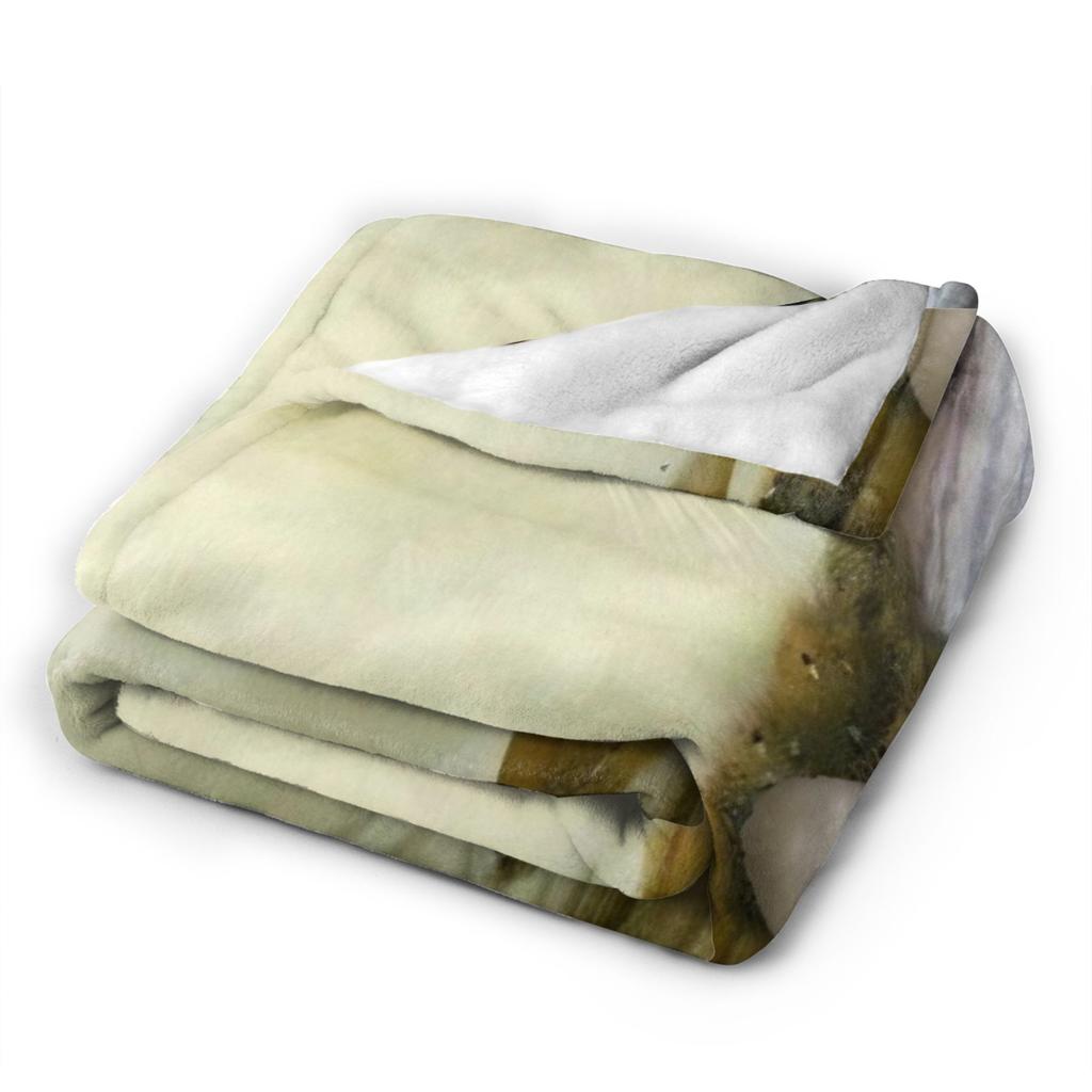 Meowl Cat Owl Meme Blanket Soft Coral Fleece Plush Healing Gifts  Throw Blankets Bedding Throws