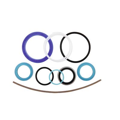 Extension Cylinder Seal Kit for FENDT FARMER X540435000000