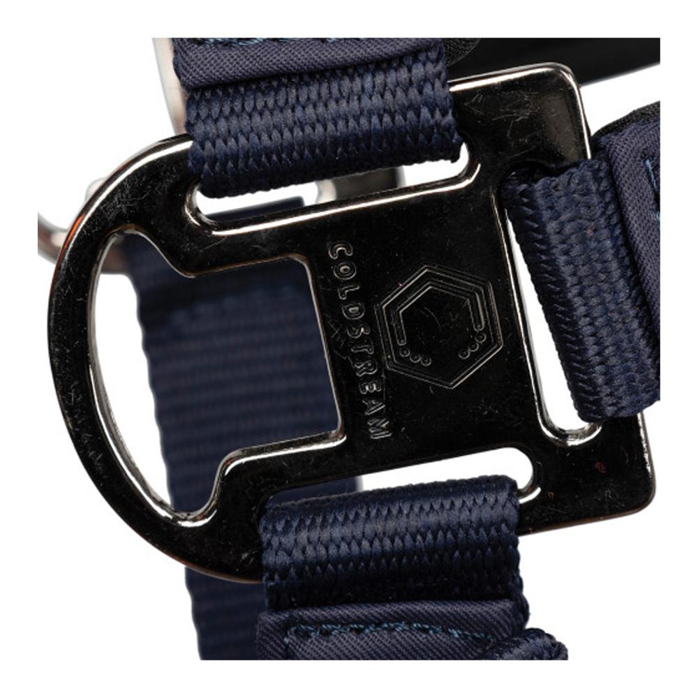 Coldstream Paxton Padded Head Collar & Lead Rope