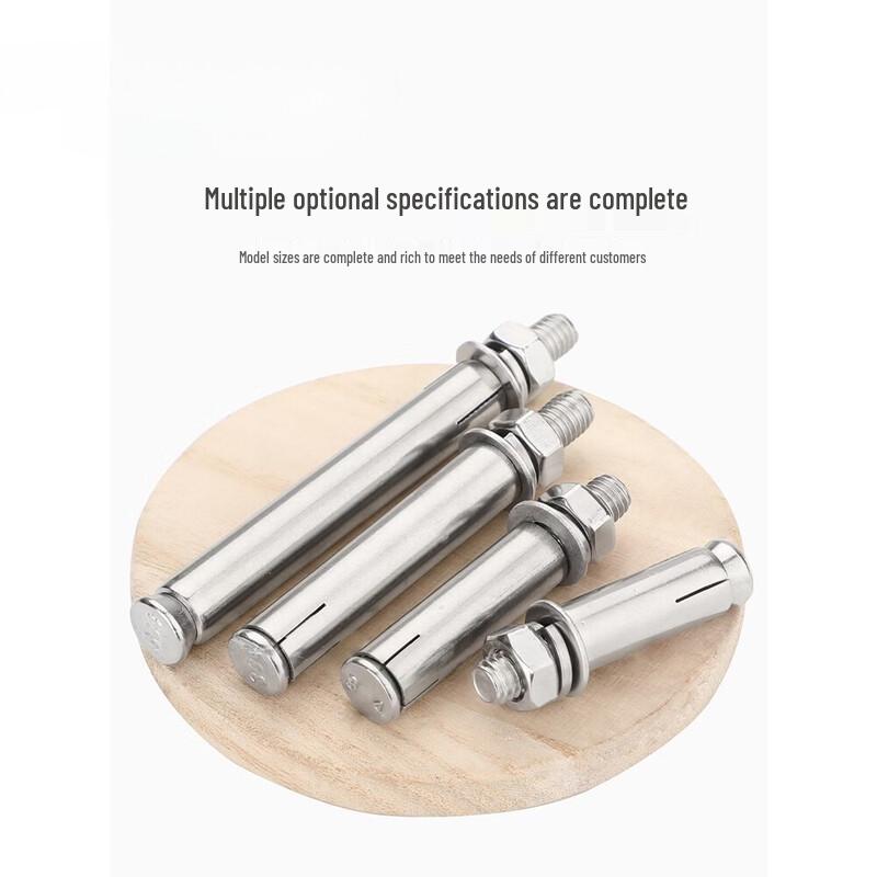 Yonggu 304 Stainless Steel Expansion Screw