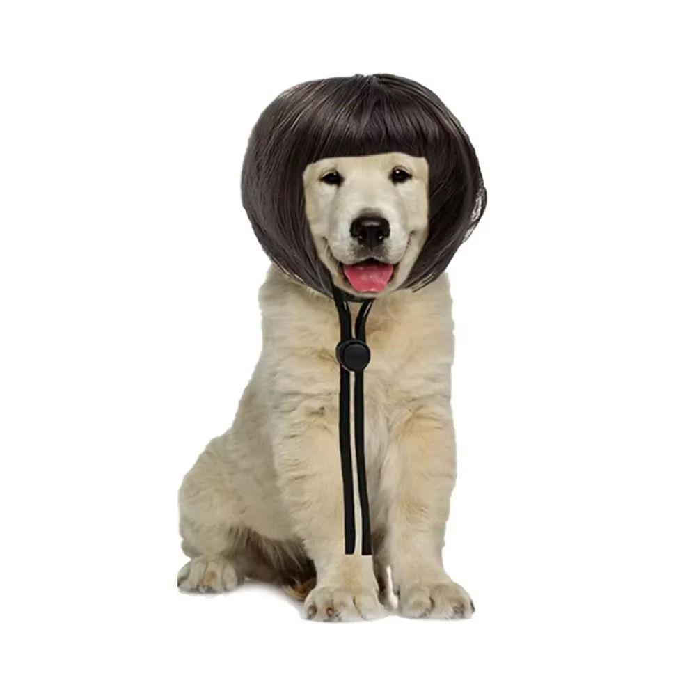 Exposed Ear Design Pet Bob Wig Adjustable Fit Cat Cosplay Wig Cat Fake Hair  Holiday Photography