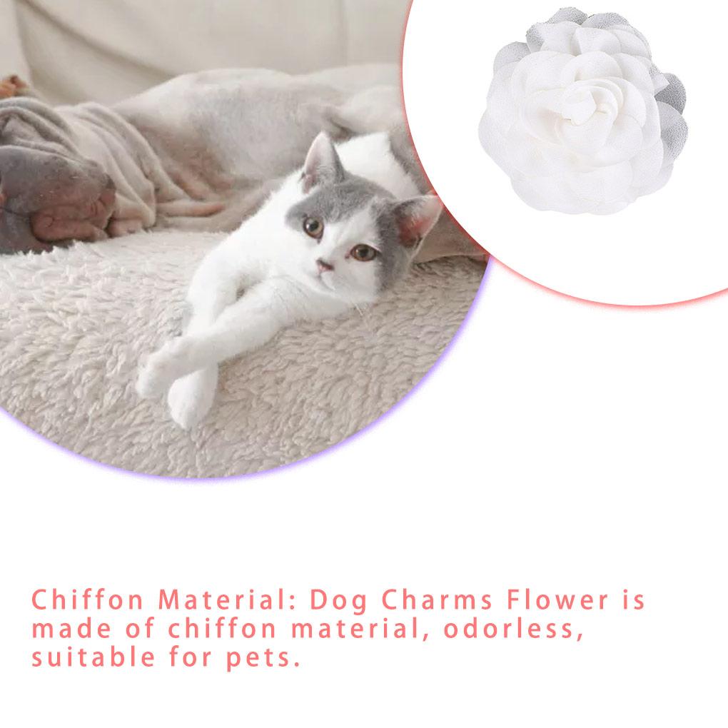 Dog Collar Flowers Elastic Band Design Cat Bow Tie Beautiful Appearance Pet Supplies Grooming Accessories for Puppy