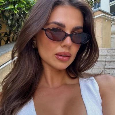 Retro Oval Sunglasses Fashion Punk Cat Eyes Small Frame Trendy Sun Protection Glasses for Women Men
