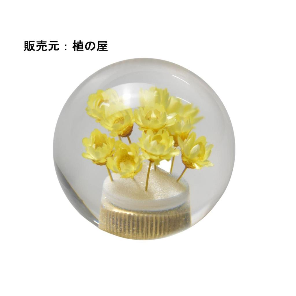 JINGLING Underwater Flower Shift Knob Gear Knob Crystal Universal Ball Shape AT MT Car