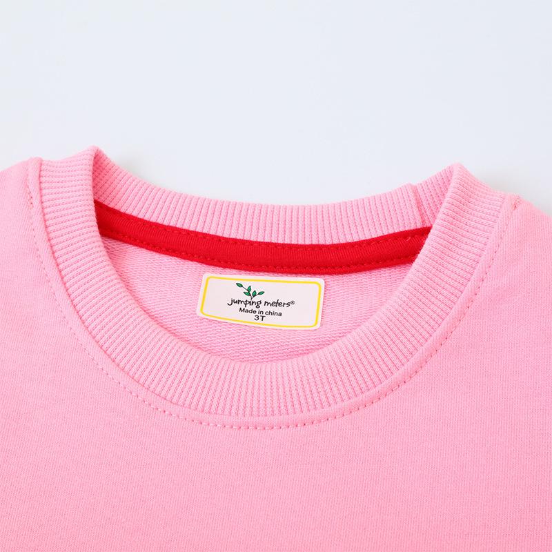 Felpa con Cappuccio Lunga da Ragazza Stile Europeo - Collezione Autunno, Top alla Moda Carino con Girocollo