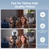 Zeadio Camera Stabilizer Kit, All-in-One Handheld Stabilizer with LED Video Light, Microphone, Smartphone Holder, and Action Camera Adapter - Compatib