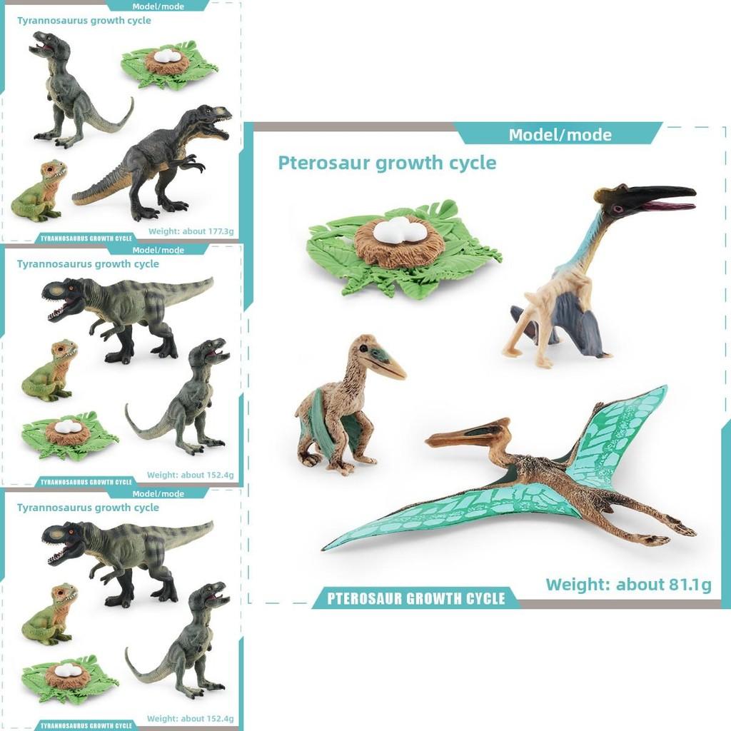 Jurassic Pterosaur T Rex Growth Cycle Model Pvc Educational Toy For Kids Science Learning