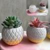 Succulent Flowerpot Silicone Mold | DIY Plaster, Resin & Candle Craft Kit | Fish Tank & Home Decoration