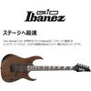 GIO Ibanez Electric Guitar for Beginners (Black Flat) GRG121DX-BKF