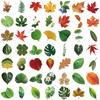 50 Transparent Ins Style Leaf Sticker Pack, Waterproof Transparent PET Manual Material Decorative Guitar Notebook