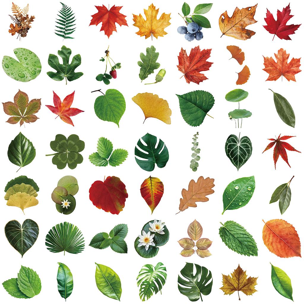 50 Transparent Ins Style Leaf Sticker Pack, Waterproof Transparent PET Manual Material Decorative Guitar Notebook