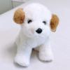 Bei Yangyang Dog Plush Toy - Akita & Labrador Comfort Doll