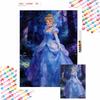 Cinderella Diamond Painting Art Mosaic Kit Handmade diy5D Home Decor Gift