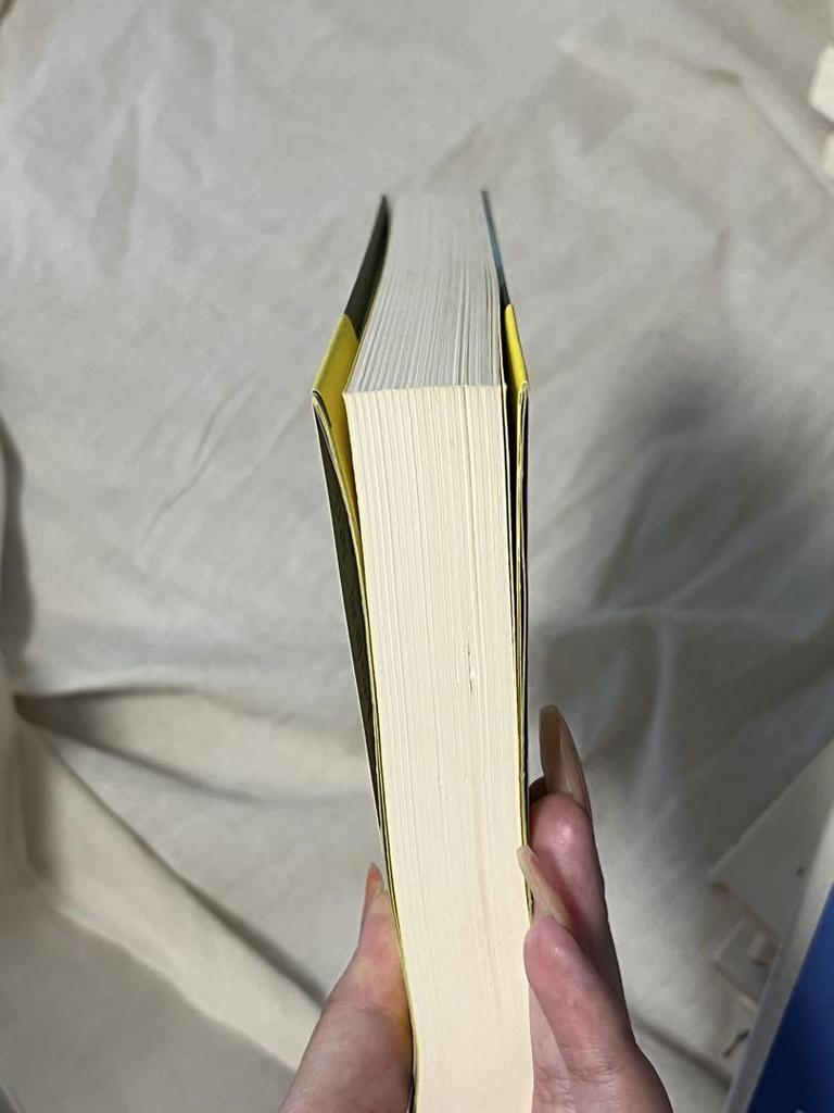 [USED] Saeko Himuro's early short story collection "Goodbye Harlequin/White Girls