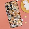 Pomeranian Dogs Dog Colorful Case For OnePlus 13R 12R 10R 13T 15 13 12 11 10T 8T Nord CE 4 3 2 Lite N20 N30 Nord 5 Funda