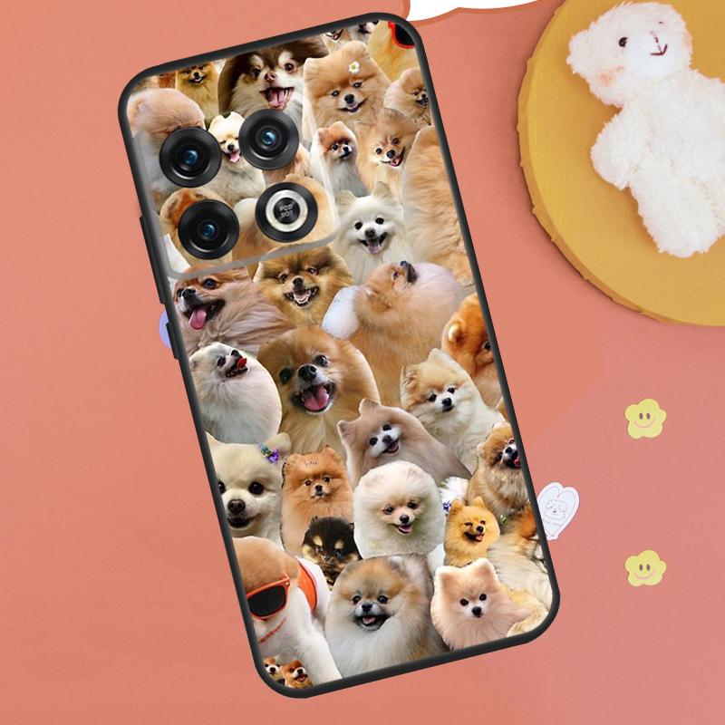 Pomeranian Dogs Dog Colorful Case For OnePlus 13R 12R 10R 13T 15 13 12 11 10T 8T Nord CE 4 3 2 Lite N20 N30 Nord 5 Funda