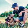 Fida Dog 8m Retractable Automatic Retractable Long Nylon Suitable for Medium and Large Night Walking Lead, Lead, Lead, Tape, One-Hand Brake, Dogs,